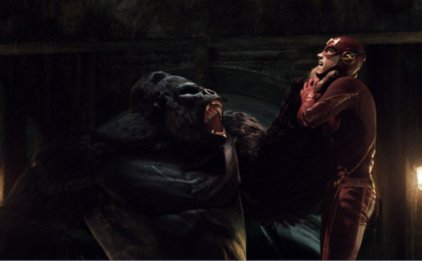 Gorilla Grodd